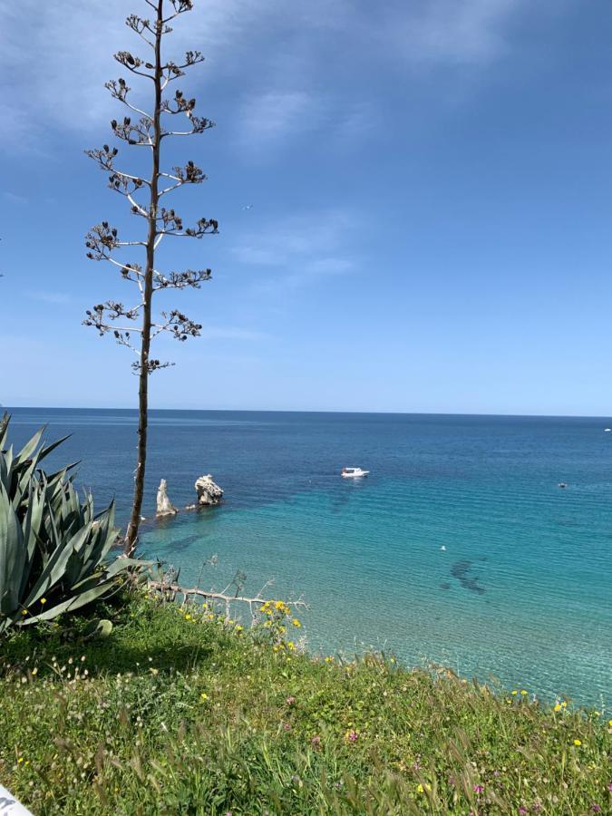 Fiori D'Arancio Daire Terrasini Dış mekan fotoğraf